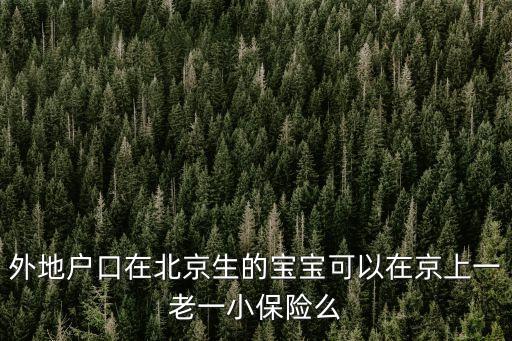 外地戶口在北京生的寶寶可以在京上一老一小保險么