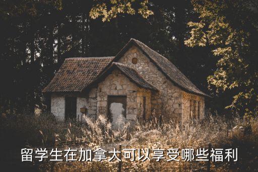 留學(xué)生在加拿大，留學(xué)生在加拿大可以享受哪些福利