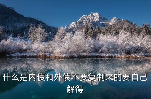 什么是內(nèi)債和外債不要復(fù)制來的要自己解得