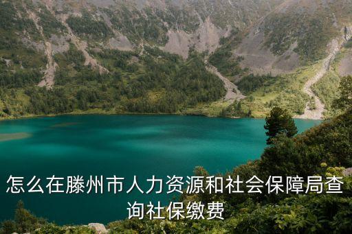 怎么在滕州市人力資源和社會保障局查詢社保繳費