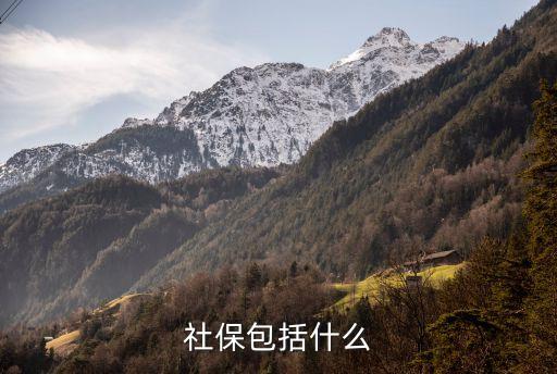 社保包括什么