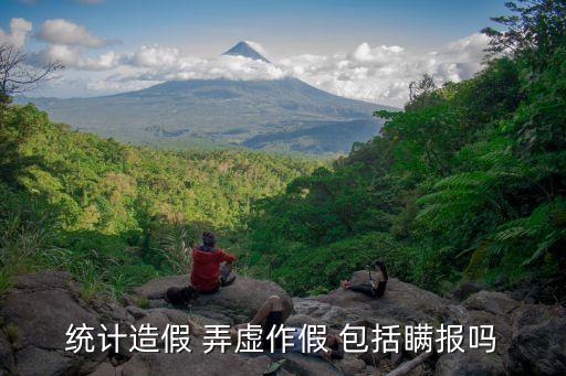 統(tǒng)計造假 弄虛作假 包括瞞報嗎