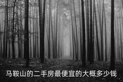 馬鞍山的二手房最便宜的大概多少錢