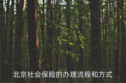 北京市社會(huì)保險(xiǎn)，社保要怎么辦理北京