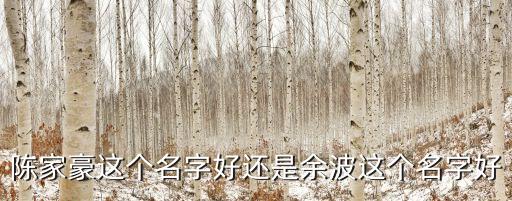 陳家豪這個(gè)名字好還是余波這個(gè)名字好