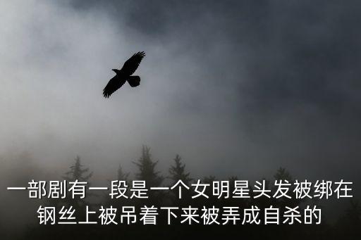一部劇有一段是一個(gè)女明星頭發(fā)被綁在鋼絲上被吊著下來被弄成自殺的