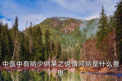 納是什么，納是什么意思