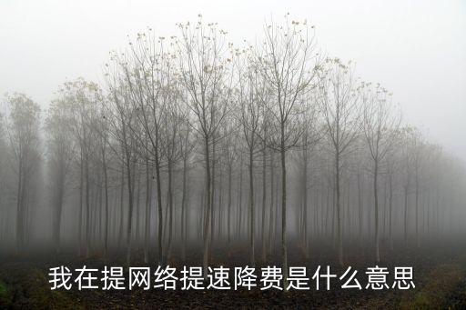 提速降費，我在提網(wǎng)絡提速降費是什么意思