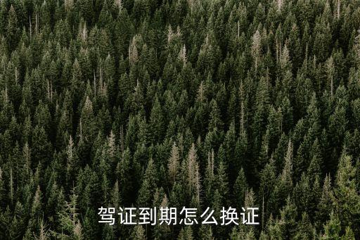 駕照到期了如何換新駕照，駕證到期怎樣更換