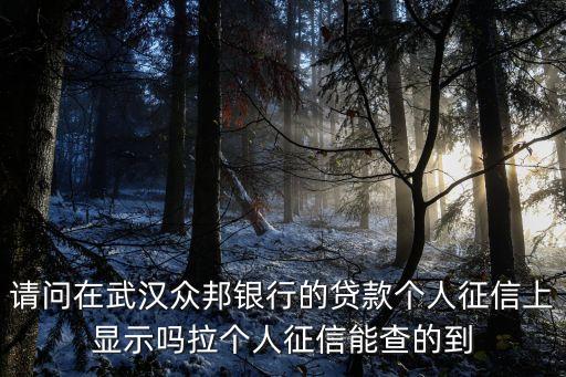 請問在武漢眾邦銀行的貸款個人征信上顯示嗎拉個人征信能查的到