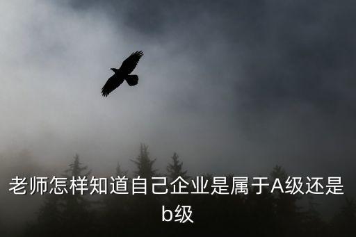 a級納稅人查詢，如何確認企業(yè)為納稅信用A級增值稅一般納稅人