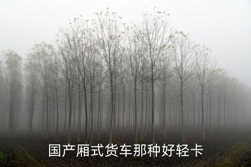 廂式小型貨車，箱式小貨車都有什么的我想買