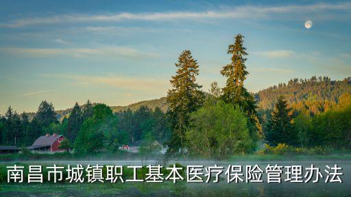 南昌市城鎮(zhèn)職工基本醫(yī)療保險管理辦法