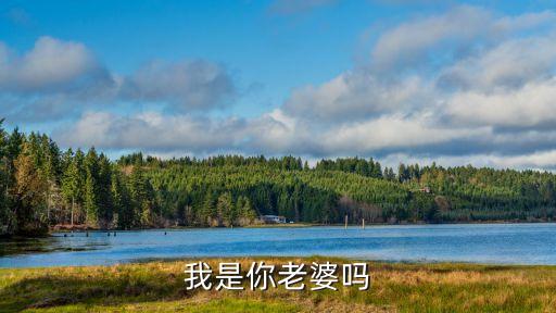 我不是你老婆，我是你老婆嗎