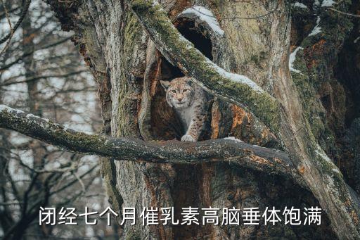 李立峰，輸卵管左側(cè)炎癥通而欠暢右側(cè)宮外孕割除怎么辦