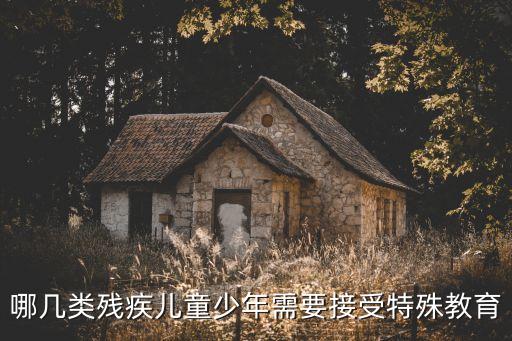 哪幾類殘疾兒童少年需要接受特殊教育