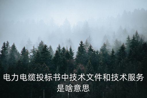 技術文件，技術文件屬于質(zhì)量管理體系文件嗎