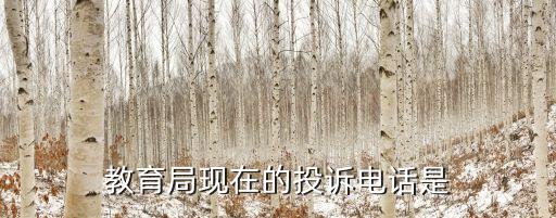 教育機(jī)構(gòu)投訴電話，教育局現(xiàn)在的投訴電話是