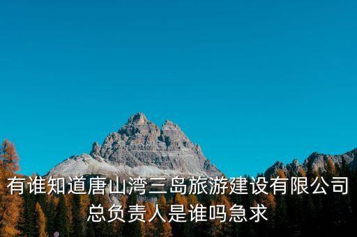 有誰(shuí)知道唐山灣三島旅游建設(shè)有限公司總負(fù)責(zé)人是誰(shuí)嗎急求