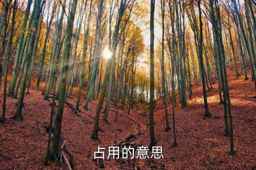 占用，占用的占怎么組詞