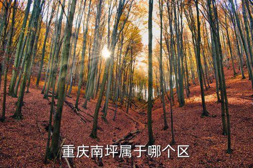 重慶南坪屬于哪個(gè)區(qū)