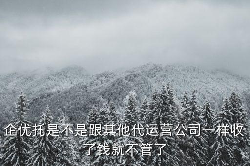 企優(yōu)托是不是跟其他代運(yùn)營公司一樣收了錢就不管了