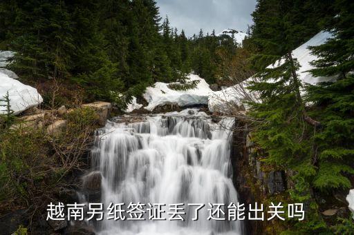 另紙簽證，越南另紙簽證丟失怎么回國