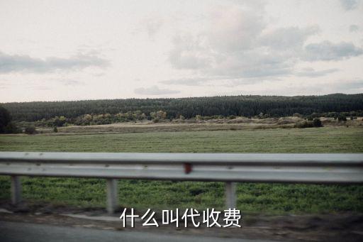 代收費，什么是代收費