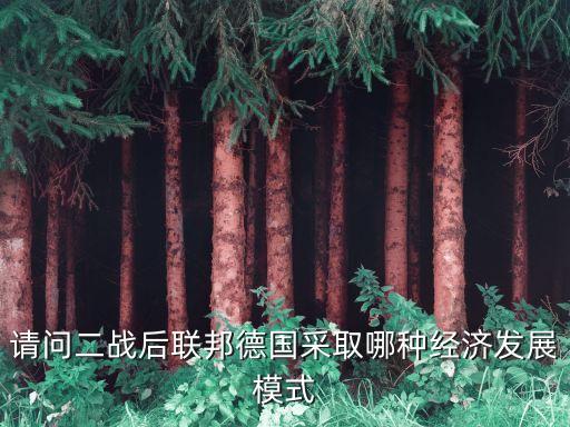 請問二戰(zhàn)后聯(lián)邦德國采取哪種經(jīng)濟(jì)發(fā)展模式