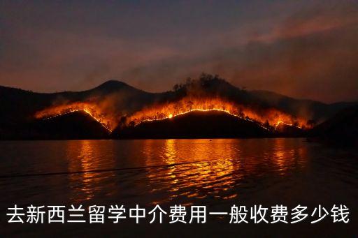 留學機構收費標準，留學中介收費標準是什么樣的