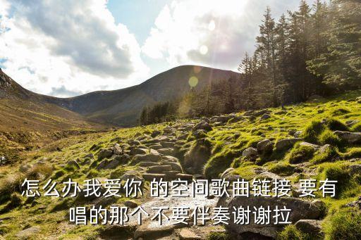 怎么辦我愛你 的空間歌曲鏈接 要有唱的那個(gè)不要伴奏謝謝拉