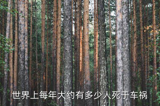 車禍死亡人數，有多少人是因為交通事故死的