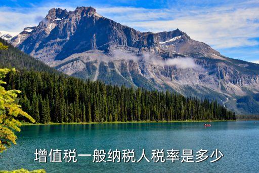 一般納稅人增值稅稅率，增值稅一般納稅人稅率是多少