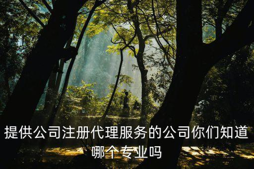 公司注冊(cè)代理，公司注冊(cè)代理費(fèi)用一般是多少