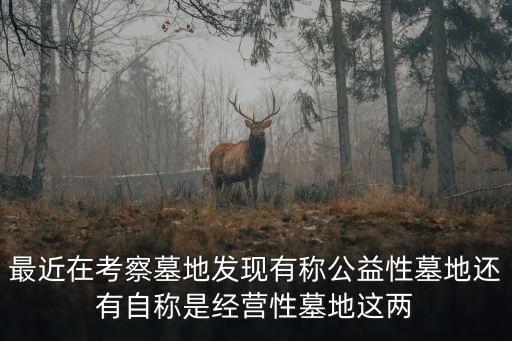最近在考察墓地發(fā)現(xiàn)有稱公益性墓地還有自稱是經營性墓地這兩