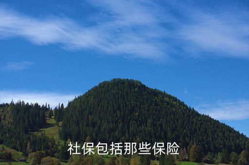 社保包含，社保包括什么