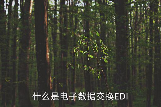 什么是電子數(shù)據(jù)交換EDI