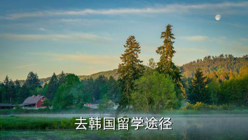 韓國留學，韓國留學 去韓國留學的條件