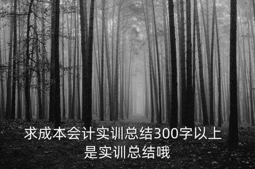 求成本會(huì)計(jì)實(shí)訓(xùn)總結(jié)300字以上  是實(shí)訓(xùn)總結(jié)哦
