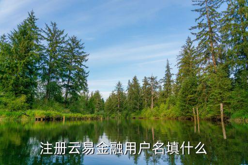易金融，注冊(cè)云易金融用戶名填什么