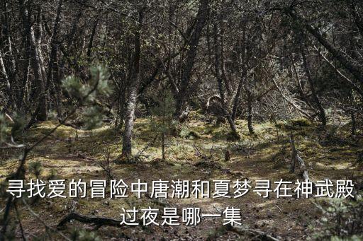 唐潮，尋找愛的冒險 為什么大結(jié)局的時候唐潮和夏夢尋不認識對方了