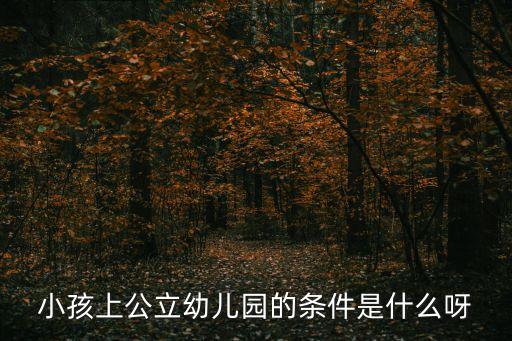 小孩上公立幼兒園的條件是什么呀