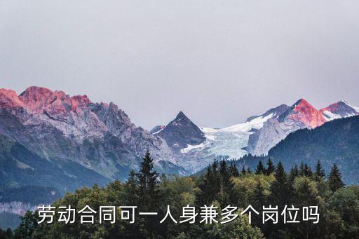 勞動(dòng)合同可一人身兼多個(gè)崗位嗎