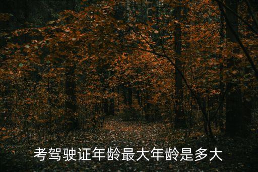 考駕照最大年齡限制多少歲，考駕照的最高年齡限制是多少歲