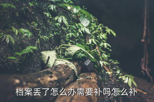 檔案丟了怎么辦，個(gè)人檔案丟失怎么辦 急急急