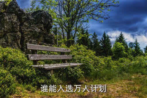國(guó)家高層次人才特殊支持計(jì)劃，誰(shuí)能入選萬(wàn)人計(jì)劃