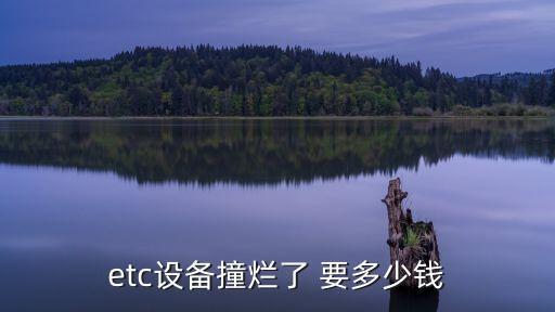 etc壞了，etc出現(xiàn)obg失效是什么原因