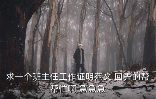 求一個(gè)班主任工作證明范文 回弄的幫幫忙啊 急急急