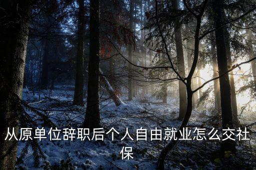 從原單位辭職后個人自由就業(yè)怎么交社保