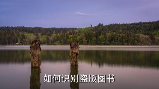 盜版圖書(shū)，盜版書(shū)與正版書(shū)的區(qū)別